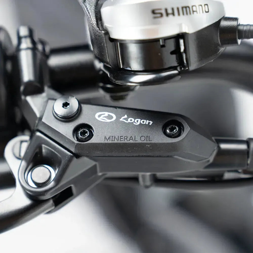 QMWHEEL V20 Pro - Donkergrijs (incl. achterzitje, voorrekje & alarm)