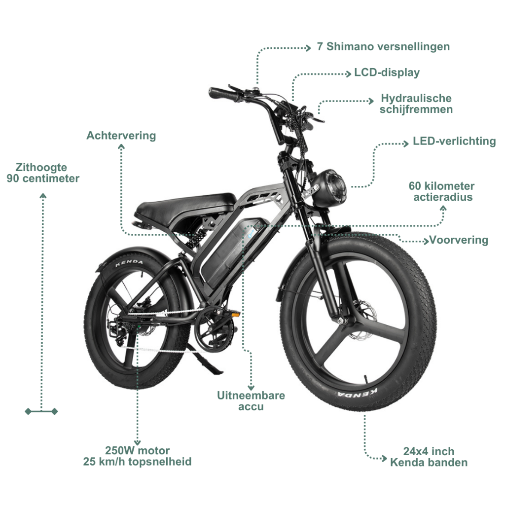 QMWHEEL V20 Max (incl. voetsteuntjes, alarm & tasje)