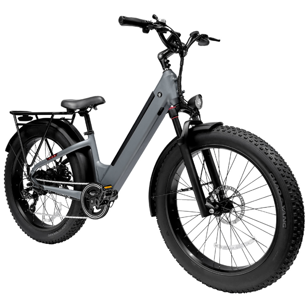 EB11 Fatbike (incl. plankje voor bagagedrager)