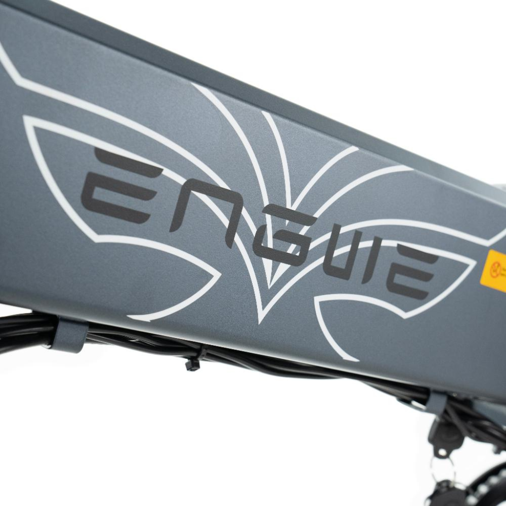 ENGWE EP-2 Pro | Grijs