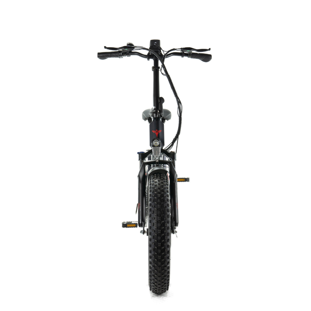 ENGWE EP-2 Pro | Zwart