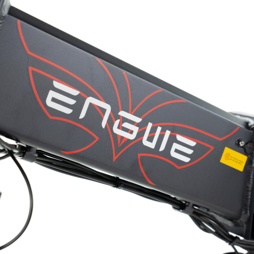 ENGWE EP-2 Pro | Zwart