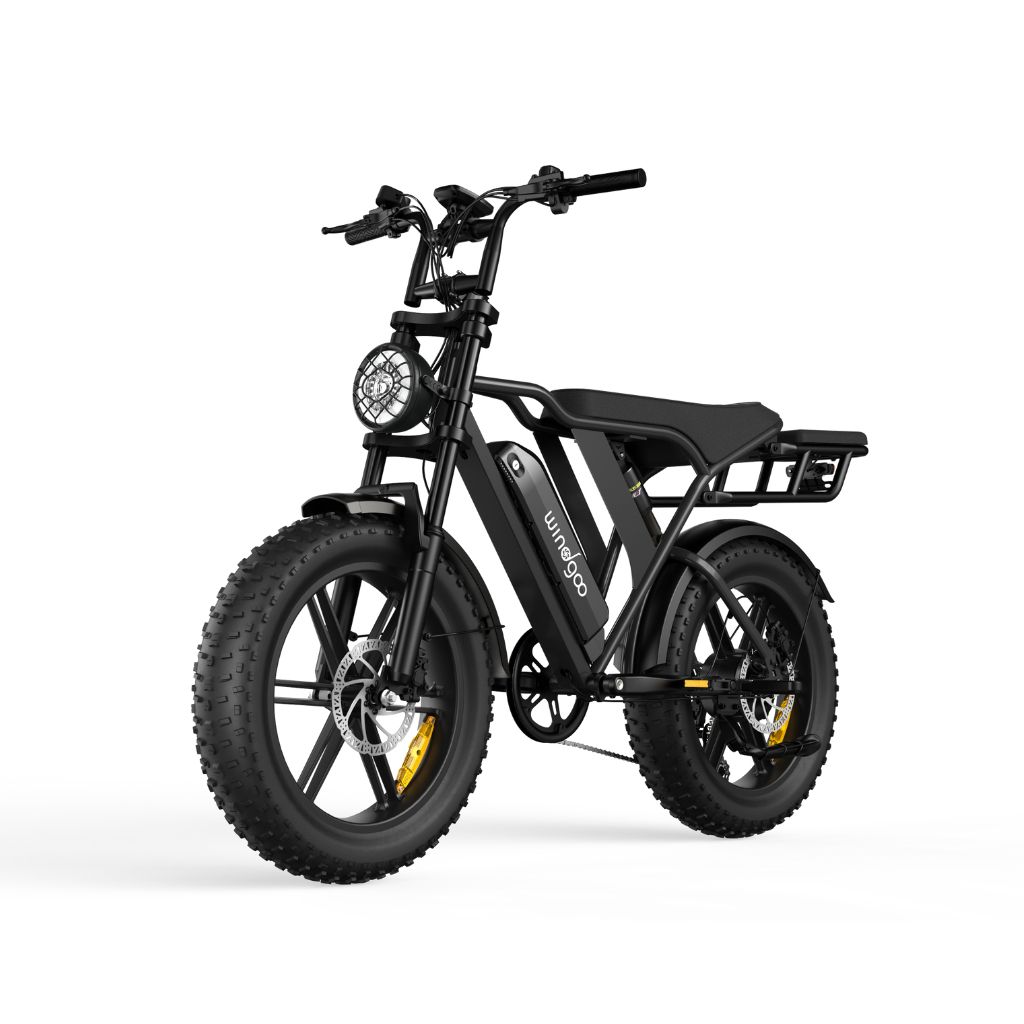 Windgoo F20 - Zwart